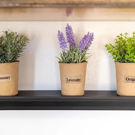 Naria Medieval House *